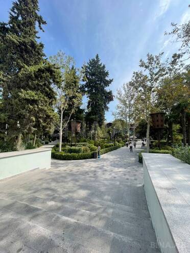 İcarəyə verilir  obyekt 45 m², Sahil m., photo 10 from 11