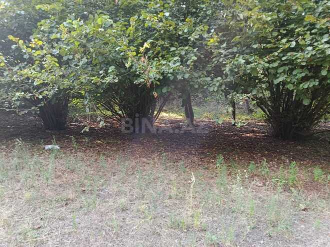 Продаётся  объект 67 м², photo 6 from 8