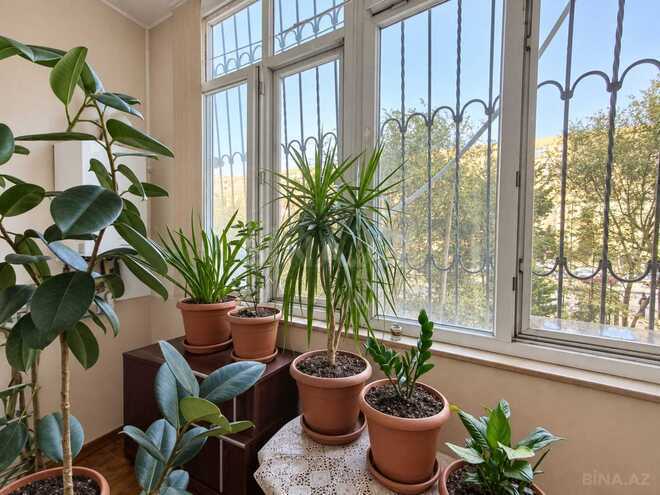 Продаётся 3-комн. новостройка 115 м², м. Ахмедлы, photo 11 from 14