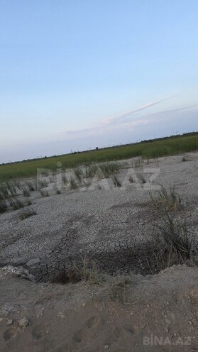 Продается  участок 15 000 сот, photo 6 from 7