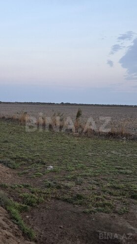 Продается  участок 15 000 сот, photo 5 from 7