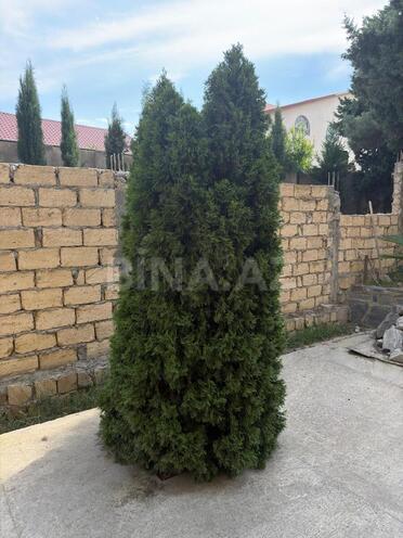 Продается 15-комн. дом/дача 1 200 м², пос. Бадамдар, photo 12 from 27