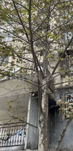 Satılır 1 otaqlı köhnə tikili 50 m², Yasamal r., photo 7 from 8