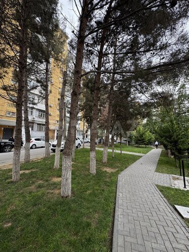 Продается 2-комн. вторичка 65 м², м. Иншаатчылар, photo 4 from 18