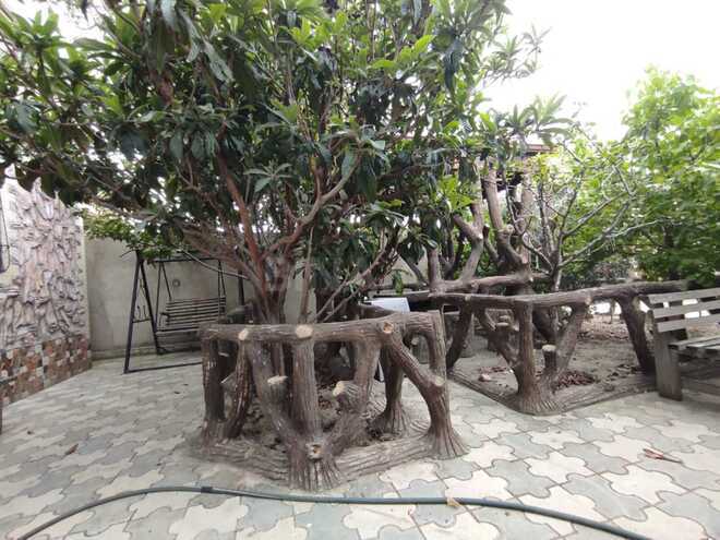 Satılır 3 otaqlı həyət evi/bağ evi 95 m², Saray q., photo 16 from 27