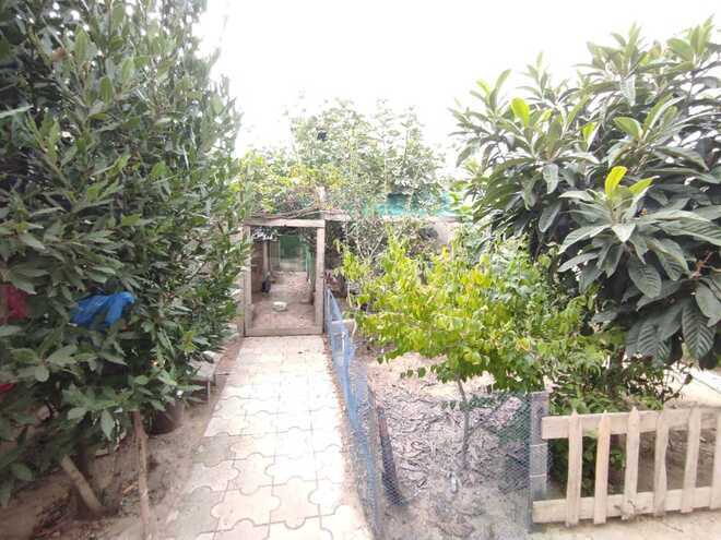 Satılır 3 otaqlı həyət evi/bağ evi 95 m², Saray q., photo 11 from 27