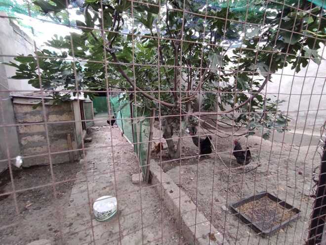Satılır 3 otaqlı həyət evi/bağ evi 95 m², Saray q., photo 15 from 27