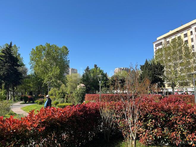 Satılır 2 otaqlı köhnə tikili 40 m², Gənclik m., photo 14 from 19