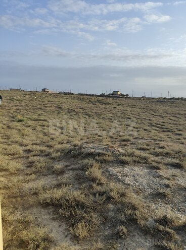 Продаётся  участок 700 сот, пос. Гала, photo 4 from 17