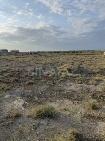 Продаётся  участок 700 сот, пос. Гала, photo 14 from 17
