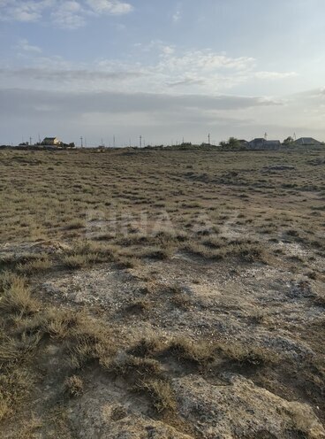 Продаётся  участок 700 сот, пос. Гала, photo 3 from 17