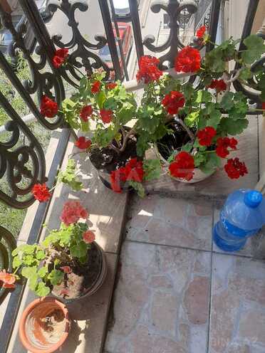 Сдаётся 2-комн. вторичка 60 м², м. Низами, photo 9 from 16