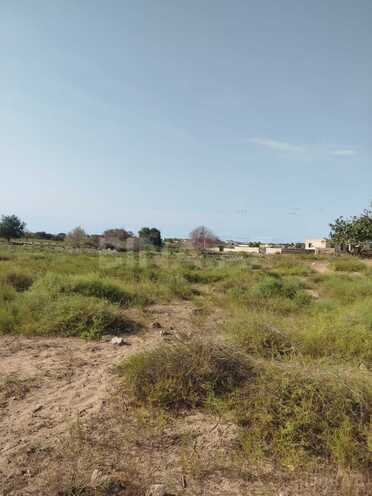Satılır  torpaq 12 sot, Nardaran q., photo 4 from 6