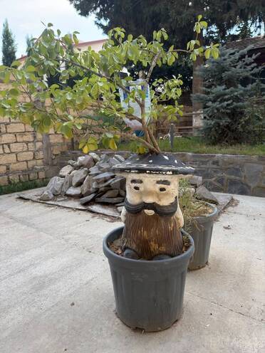 Satılır 15 otaqlı həyət evi/bağ evi 1 100 m², Badamdar q., photo 13 from 18