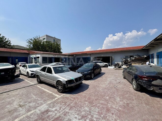 Продается  объект 2 500 м², м. Кероглу, photo 9 from 11