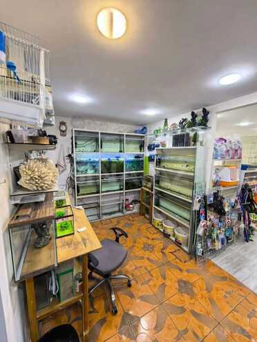 Сдаётся  объект 62 м², м. Иншаатчылар, photo 4 from 8