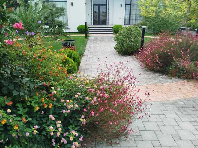 Satılır 6 otaqlı həyət evi/bağ evi 360 m², Mərdəkan q., photo 11 from 31