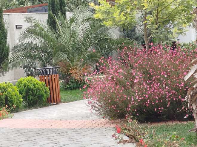 Satılır 6 otaqlı həyət evi/bağ evi 360 m², Mərdəkan q., photo 13 from 31