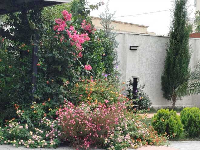 Satılır 6 otaqlı həyət evi/bağ evi 360 m², Mərdəkan q., photo 30 from 31