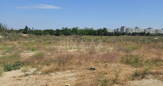 Продаётся  участок 800 сот, пос. Говсан, photo 3 from 13
