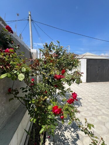 Satılır 3 otaqlı həyət evi/bağ evi 120 m², Kürdəxanı q., photo 9 from 10