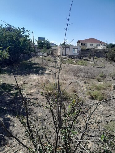 Satılır  torpaq 6 sot, Qala q., photo 4 from 9