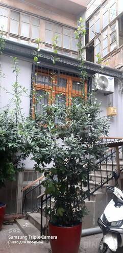 Сдается  объект 80 м², м. Сахил, photo 19 from 24