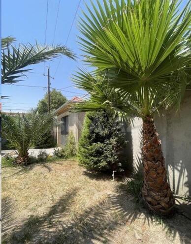 Продается 4-комн. дом/дача 200 м², пос. Новханы, photo 7 from 30