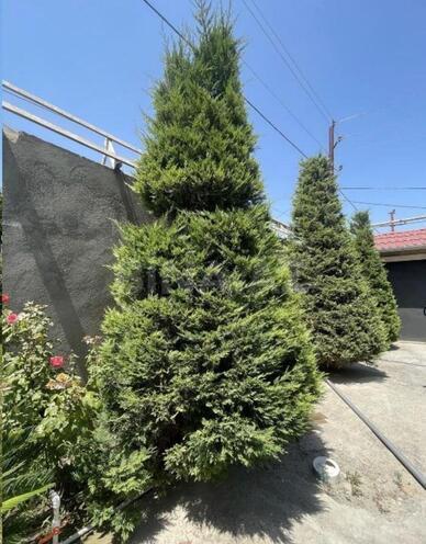 Продается 4-комн. дом/дача 200 м², пос. Новханы, photo 15 from 30
