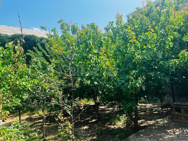 Satılır 8 otaqlı həyət evi/bağ evi 200 m², Novxanı q., photo 5 from 31