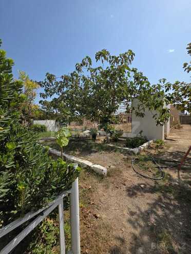 Продается  объект 1 000 м², пос. Тюркан, photo 10 from 16