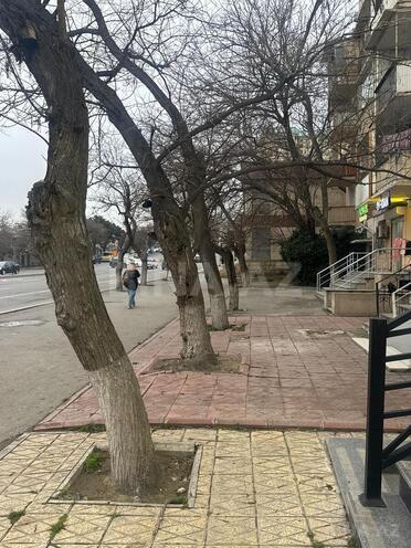 Сдается  объект 37 м², Ясамальский р., photo 11 from 12