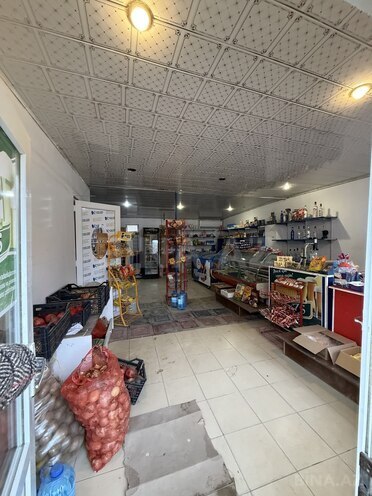 Сдается  объект 65 м², пос. Рамана, photo 8 from 12