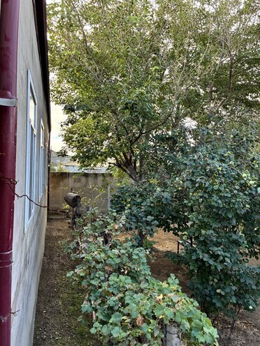 Satılır 6 otaqlı həyət evi/bağ evi 222 m², Saray q., photo 18 from 31