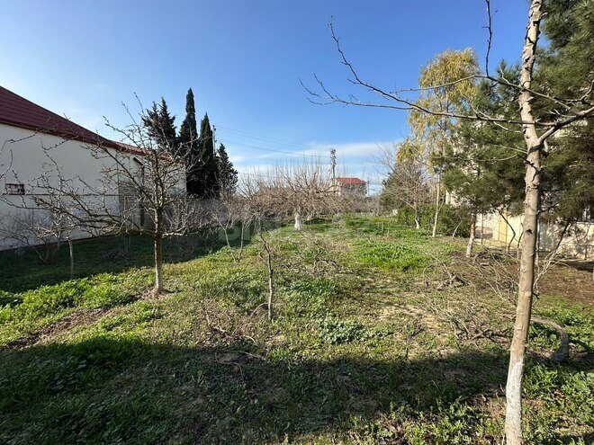 Satılır  torpaq 24 sot, Albalılıq q., photo 11 from 28