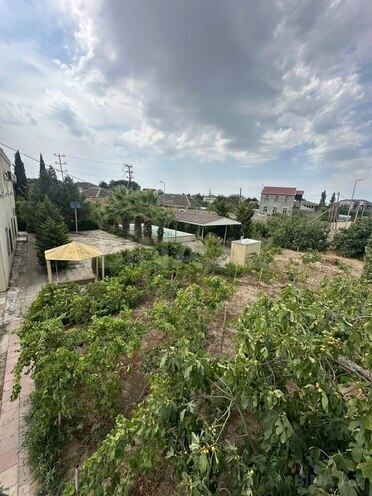 Satılır  torpaq 24 sot, Albalılıq q., photo 8 from 28