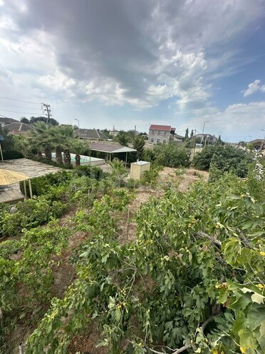 Satılır  torpaq 24 sot, Albalılıq q., photo 4 from 28