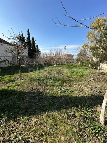Satılır  torpaq 24 sot, Albalılıq q., photo 17 from 28