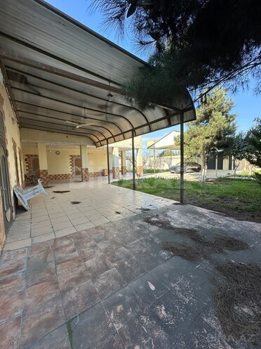 Satılır  torpaq 24 sot, Albalılıq q., photo 14 from 28