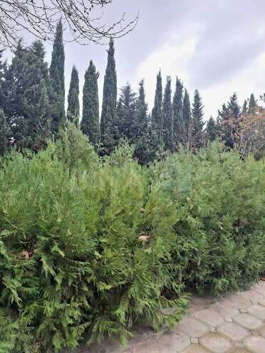 Satılır 7 otaqlı həyət evi/bağ evi 400 m², Görədil q., photo 17 from 20