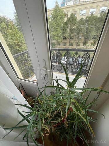 Продаётся 5-комн. вторичка 140 м², м. Элмляр Академиясы, photo 21 from 22