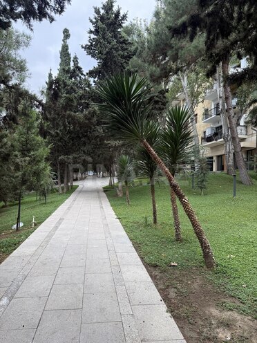 İcarəyə verilir 3 otaqlı köhnə tikili 85 m², İçəri Şəhər m., photo 21 from 22