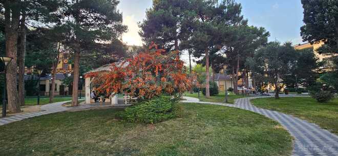Satılır 2 otaqlı köhnə tikili 56 m², Nəsimi m., photo 1 from 19