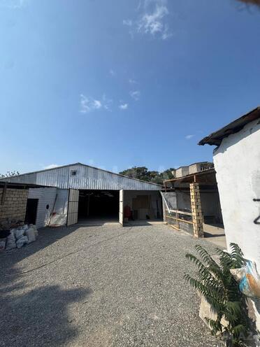 İcarəyə verilir  obyekt 2 500 m², 8 Noyabr m., photo 7 from 8