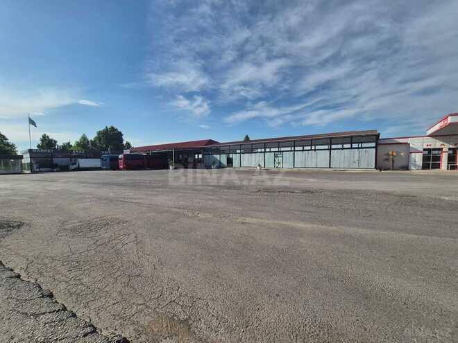 Сдается  объект 800 м², photo 9 from 17