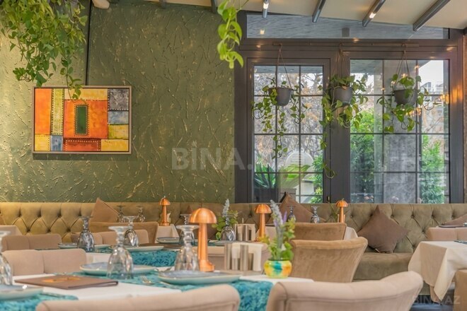 Сдается  объект 150 м², м. Низами, photo 3 from 16