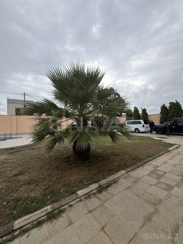 Satılır 6 otaqlı həyət evi/bağ evi 200 m², Şüvəlan q., photo 11 from 25
