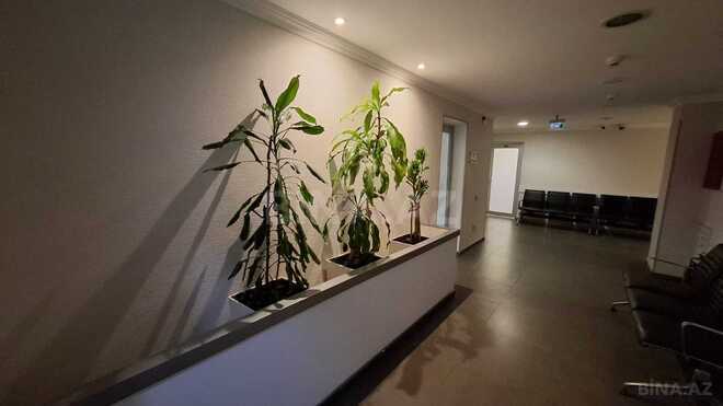 Satılır  obyekt 2 600 m², Şah İsmayıl Xətai m., photo 11 from 13