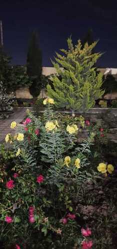Продаётся 5-комн. дом/дача 200 м², пос. Дюбенди, photo 11 from 29
