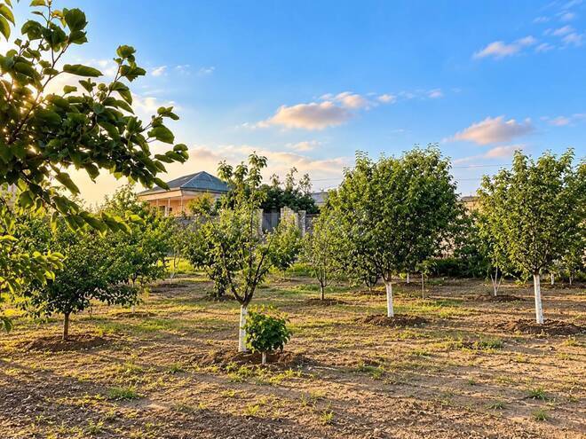 Satılır 7 otaqlı həyət evi/bağ evi 246 m², Saray q., photo 4 from 7